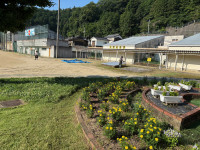 IMG_0447