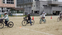 s-RIMG6826