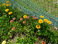 s-DSC01236