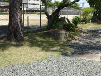 s-DSC01296