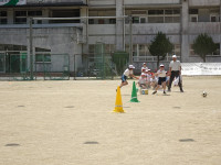 s-DSC01338