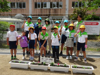 s-DSC01462