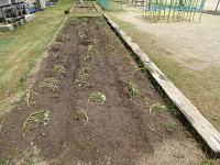 s-DSC01469