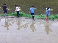 s-DSCF0556