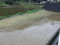 s-DSCF0591