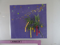 s-DSC02050
