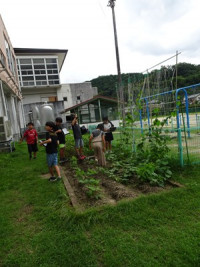 s-DSC02140