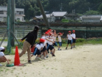 IMG_0530