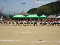 DSC06699