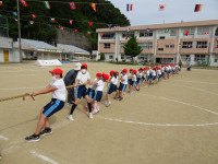 DSC06713