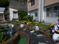 DSC06986