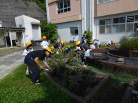 DSC06994