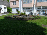 DSC06998
