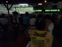 DSC07285