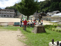 DSC08129