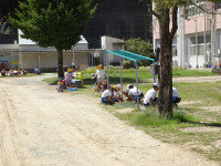 DSC08438