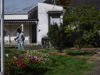 s-DSC02341