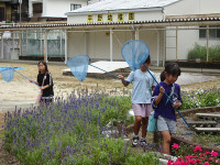 s-DSC02413