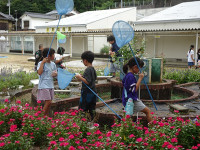 s-DSC02415