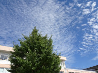 s-DSC02451