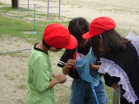 s-DSC02468