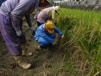 s-DSC02755