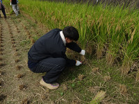 s-DSC02757