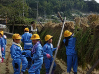 s-DSC02763